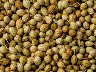 CORIANDER SEEDS